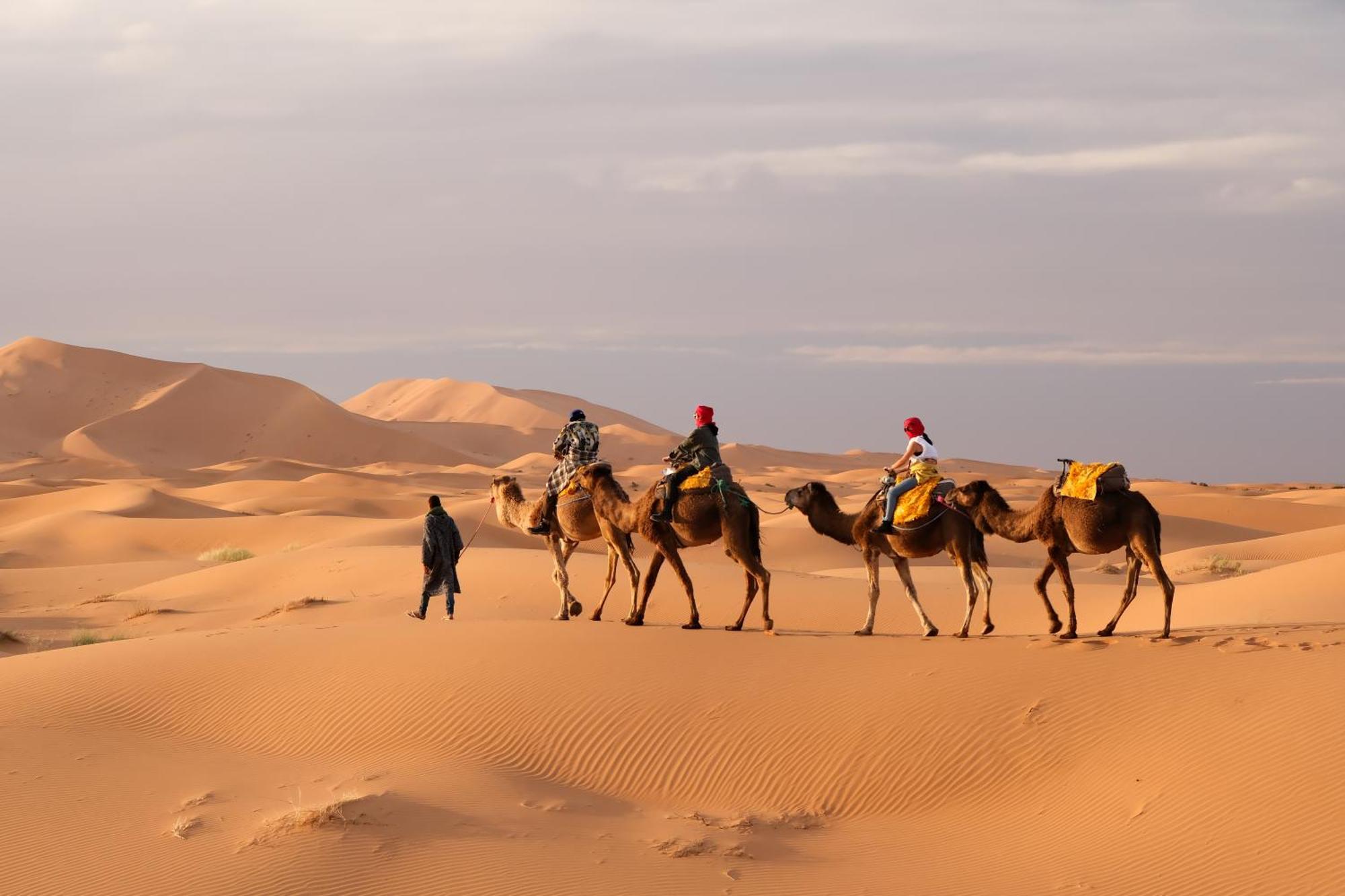 Sahara Dream Luxury Camp Hotel Merzouga Eksteriør billede